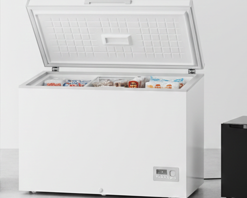 Freezer Bambi Horizontal 250L FH2600