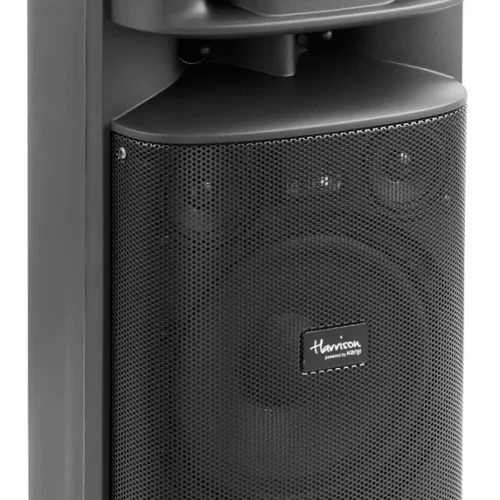 Parlante Harrison Candombe 8"